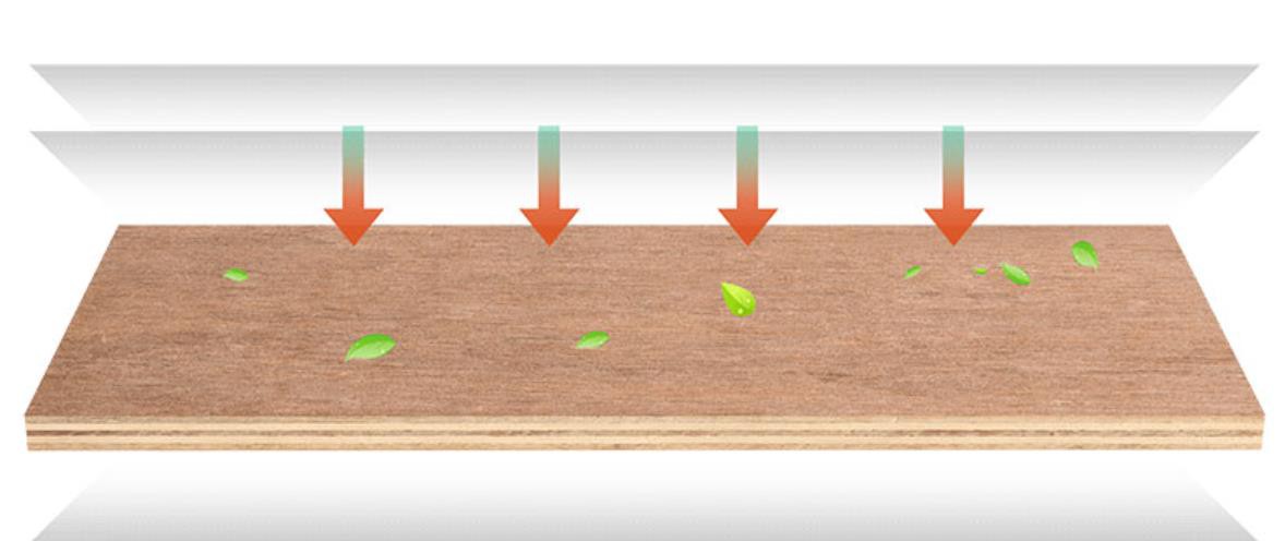 _20221110141830 _20221110141830